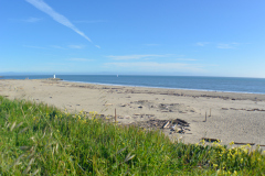 A_Harbor-Lighthouse-zoomed-out_1