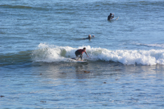 G_Surfer_7